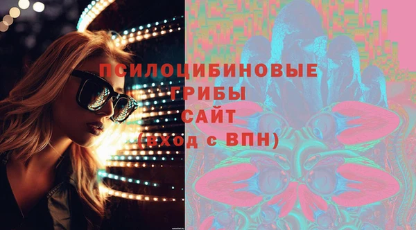 прущие грибы Алексин