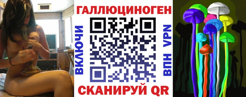 KRAKEN как войти  Лахденпохья  Галлюциногенные грибы Psilocybine cubensis 